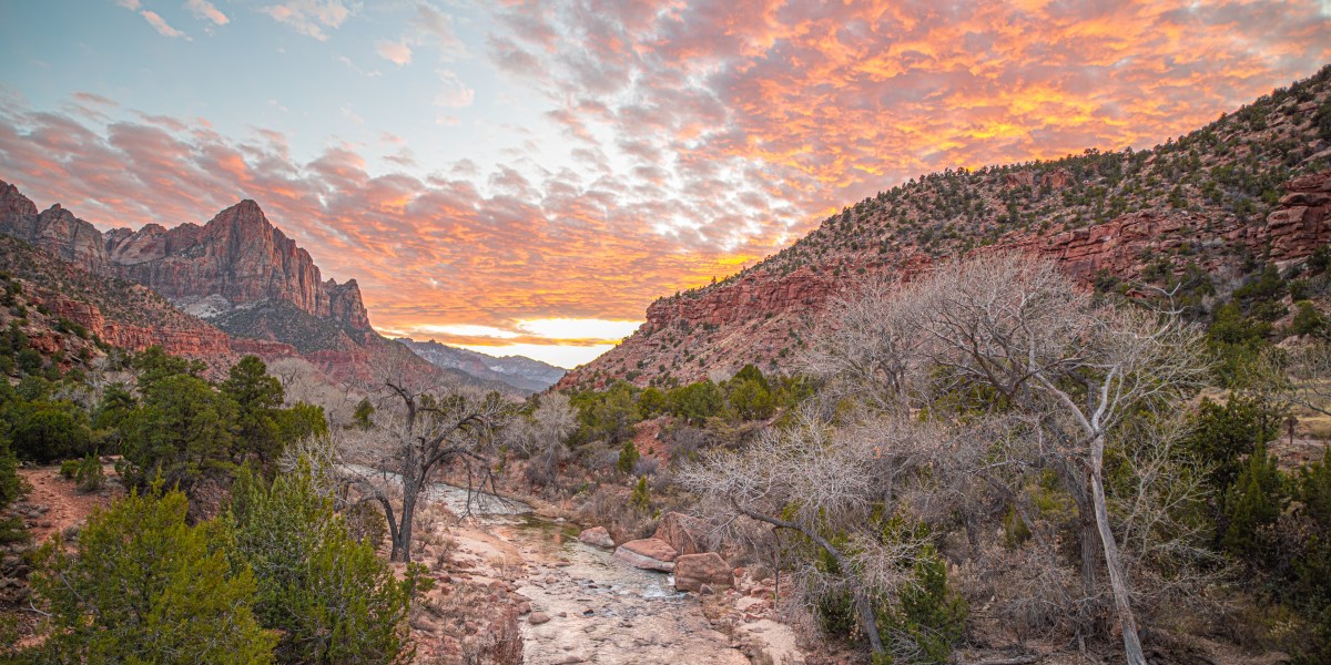 Zion National Park