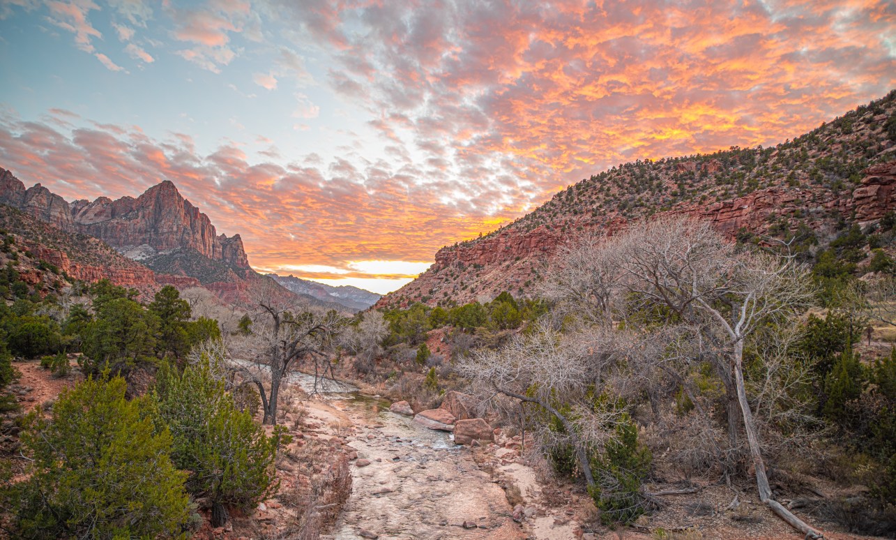 Airborne Plastic Particles: The Unseen Enemy Ravaging the West's Protected Lands