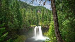 Koosah Falls, Oregon