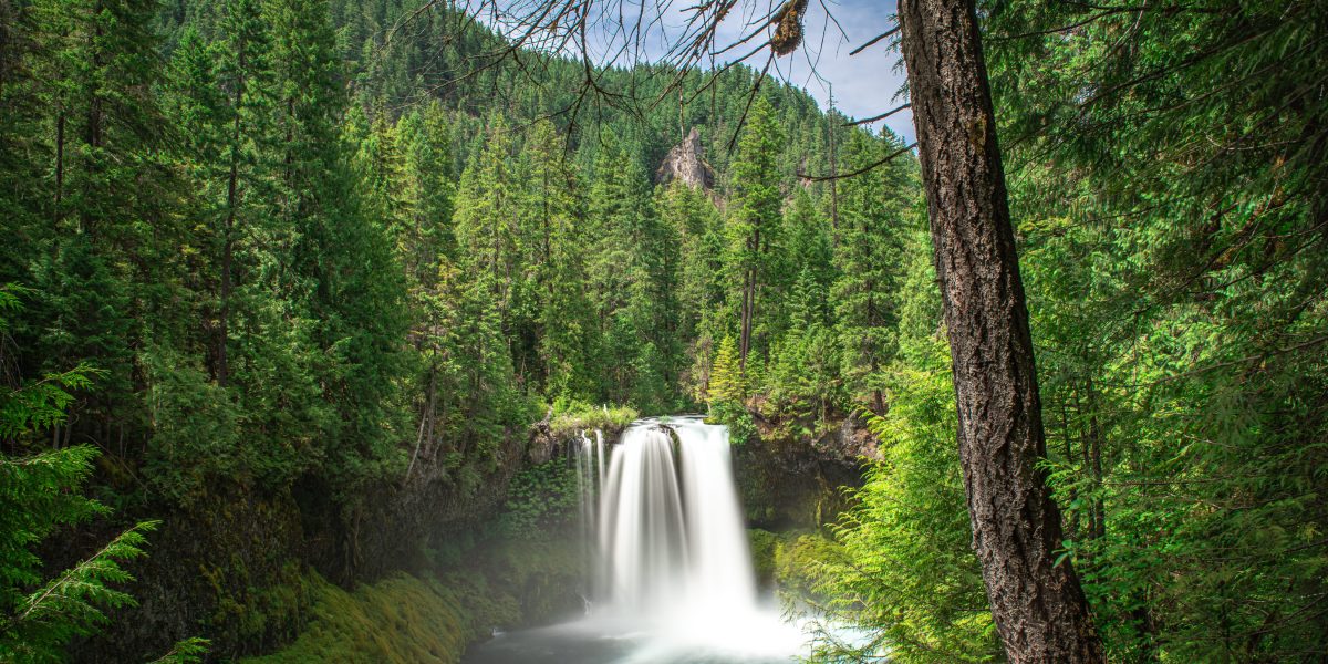 Koosah Falls, Oregon