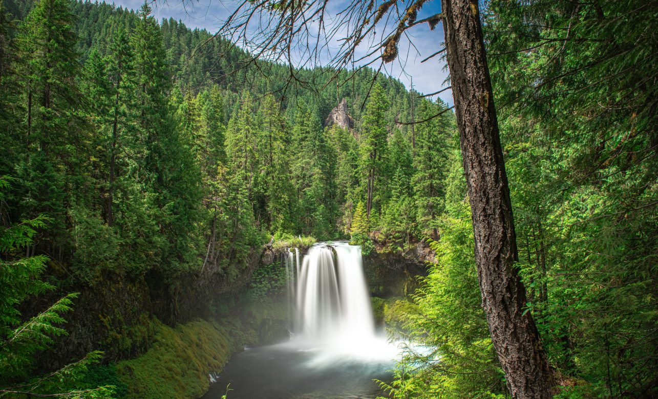 This Bucket List Train Ride Is Back—Here's What to See en Route