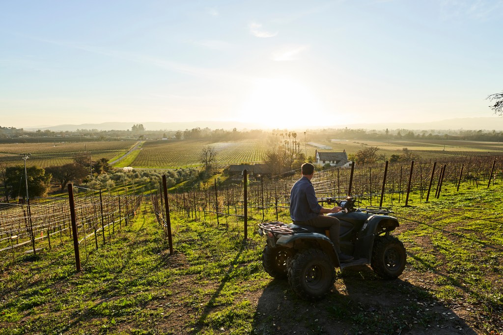 Our 2021 Wine Issue Is out—and Free for Everyone to Read