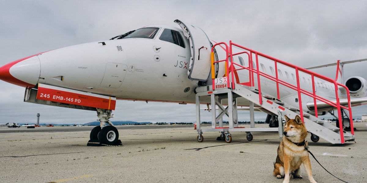 I Was Terrified to Fly with My Senior Dog for the First Time. This Air Carrier Made It a Breeze.