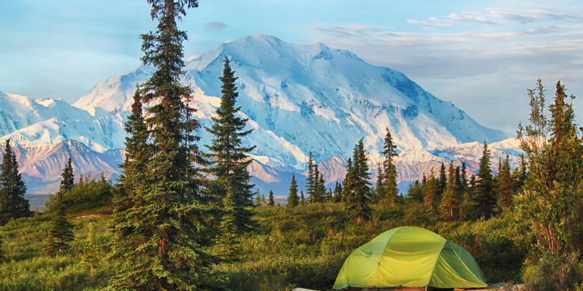 Denali National Park