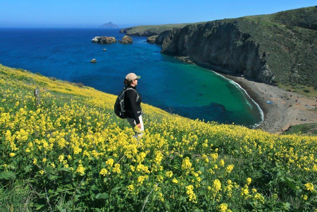 ESCI Flowers_Island Packers_Doug Mangum.jpg