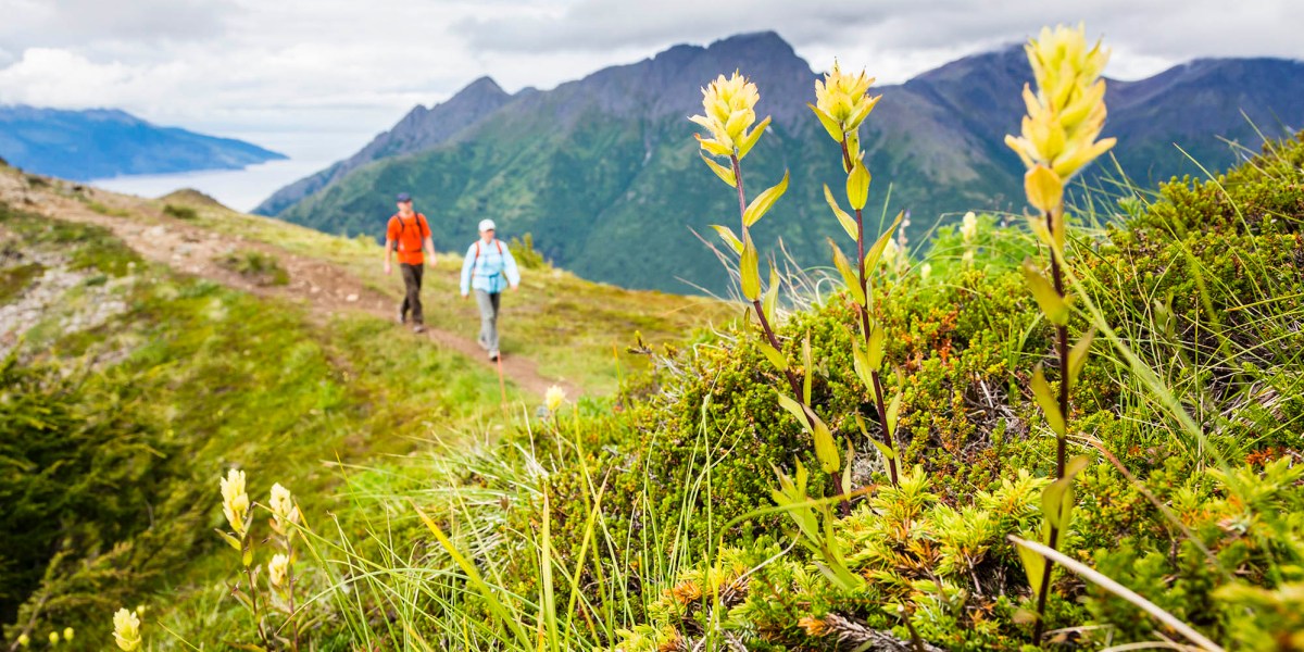 Hiking Bird Ridge in the Chugach Range