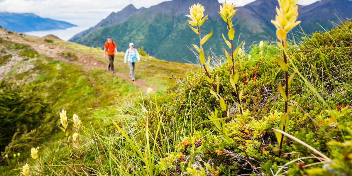 Hiking Bird Ridge in the Chugach Range