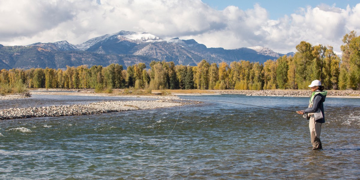 Fly Fishing in Jackson, Wyoming