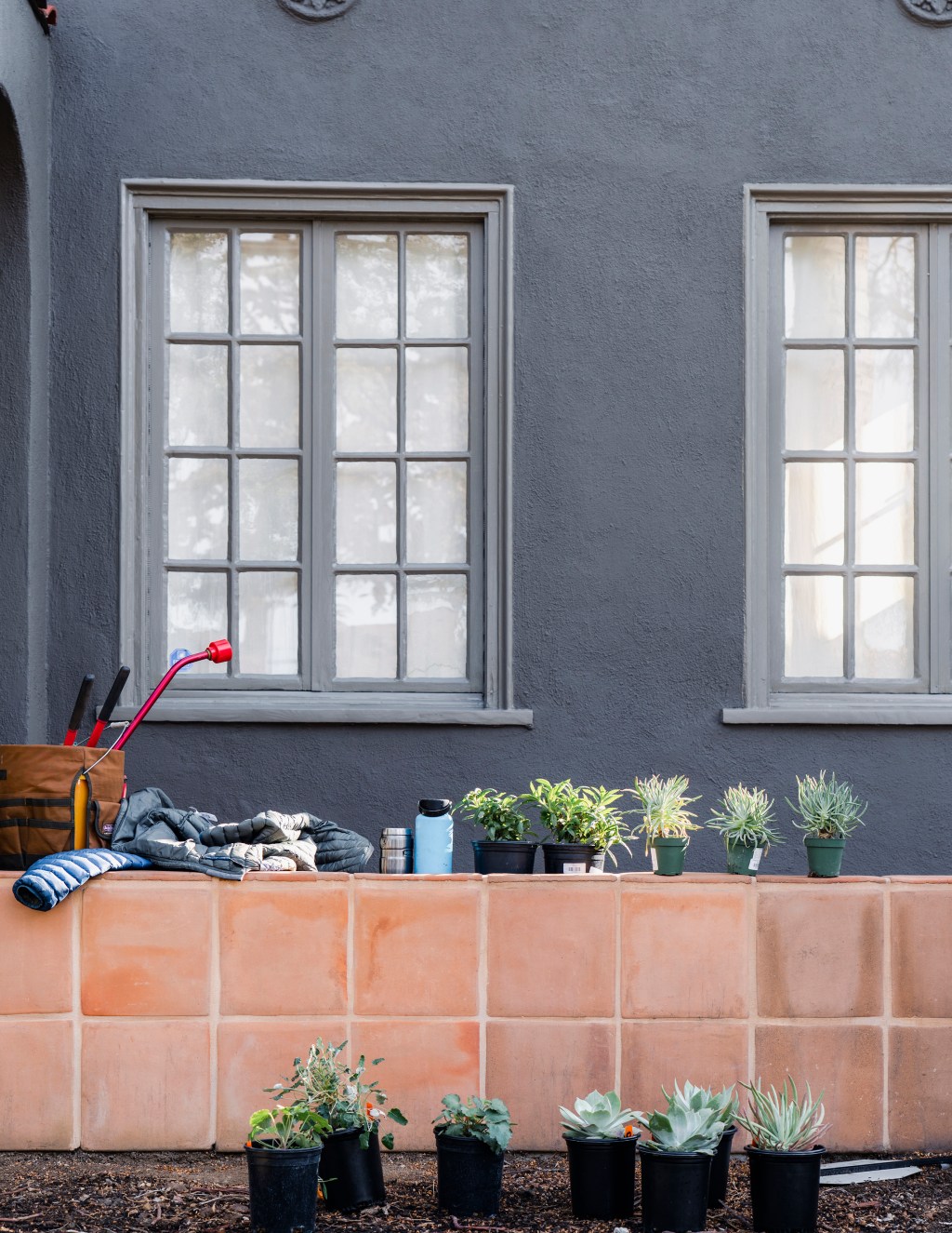 I'm Transforming My Yard into a Native Habitat. Am I a Gardener Now?