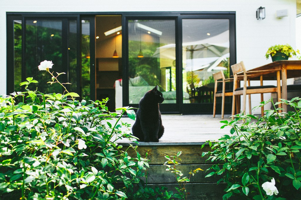 How to Easily Transform Your Garden on a Budget