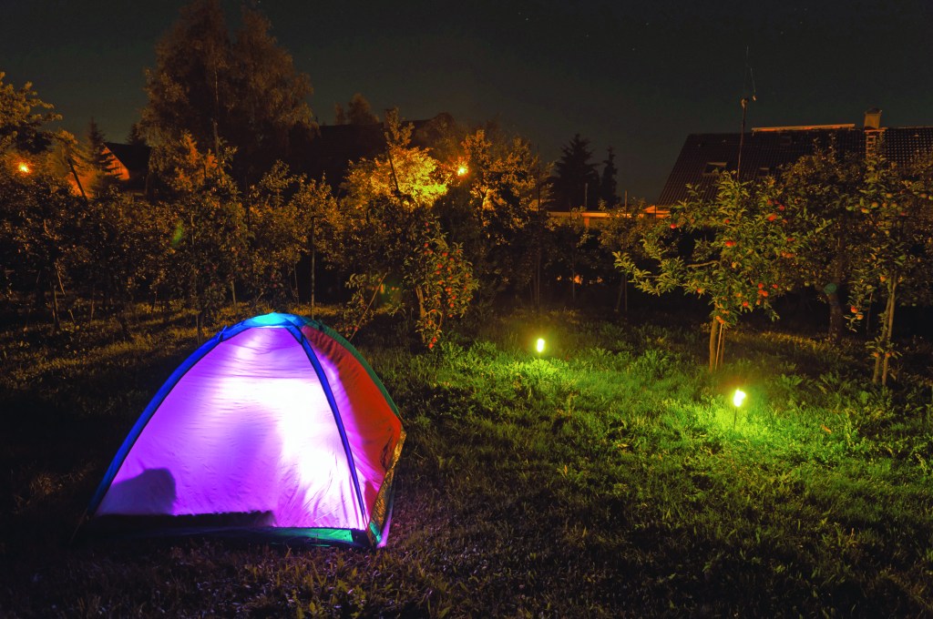 Generation Wild Launches 