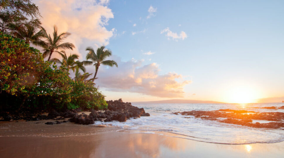 No, You Should Not Be Taking Your Vacation in Maui Right Now