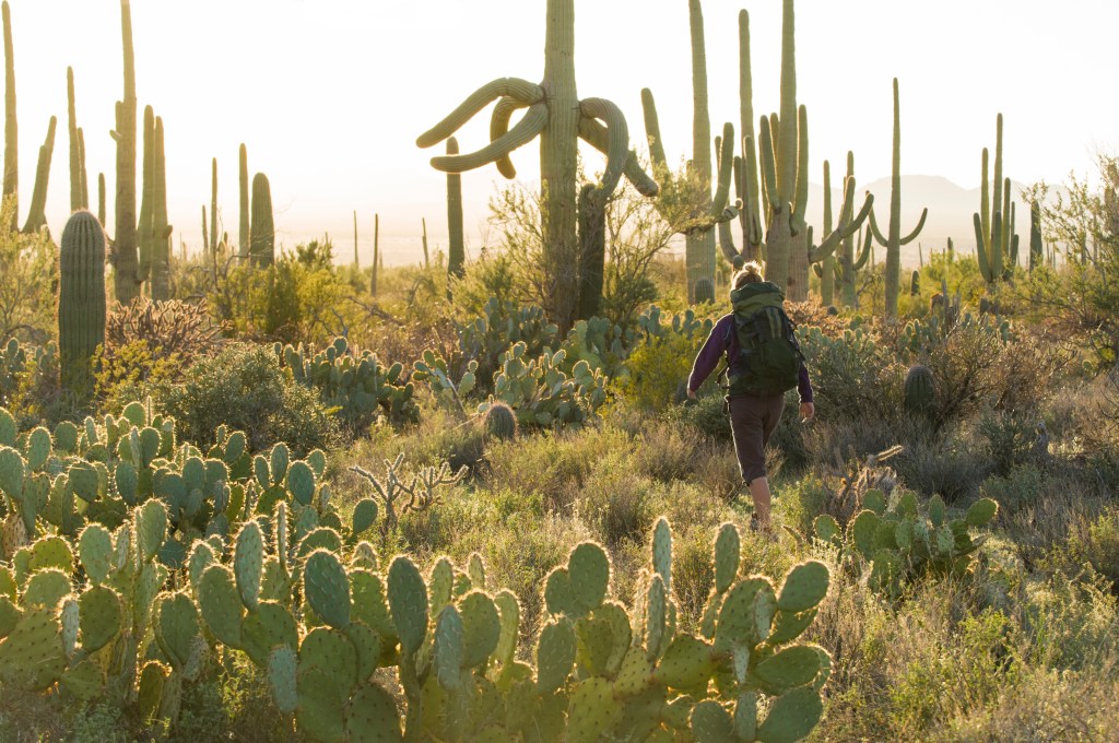 Face Mask Rules Have Changed at National Parks. Here's What You Need to Know