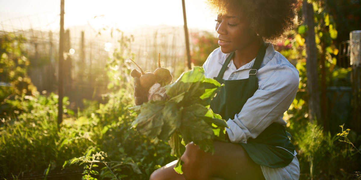 African American Woman in Community Garden