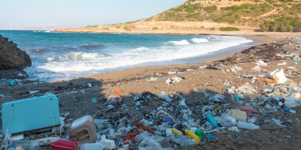 Plastic Bags on Beach