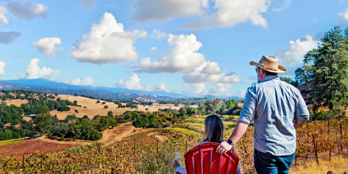 Relaxing in a Tuolumne County Vineyard