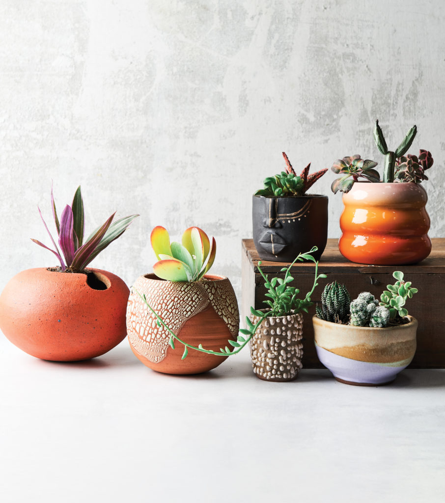 Ceramics and planters for succulents