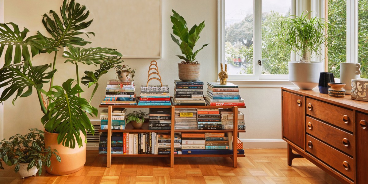 a large monstera plant in a pot on the floor next to a bookcase in a home office.