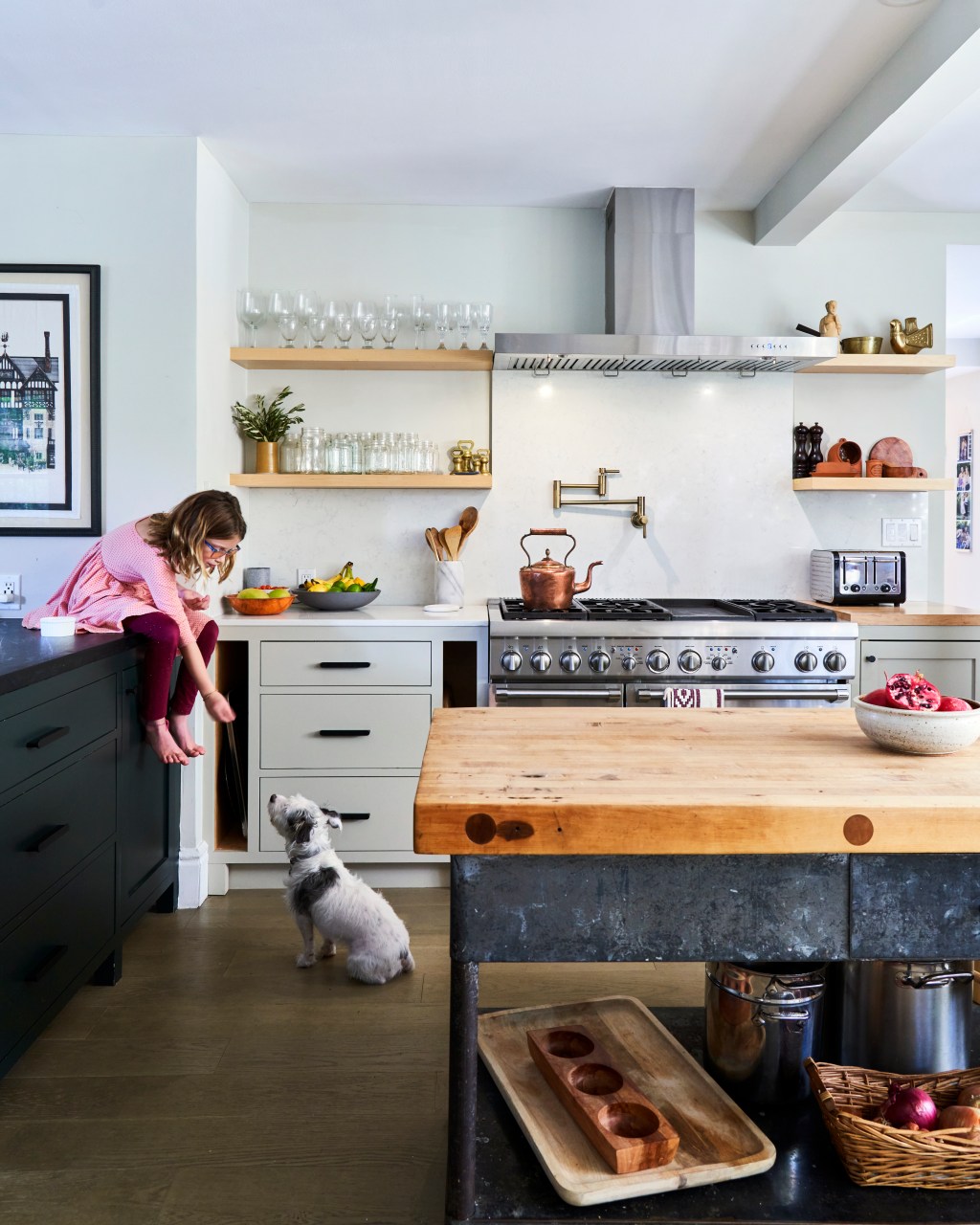 From Innovative Remodels to Simple Daybeds, Here's Our Guide to Building a Pet-Friendly Kitchen