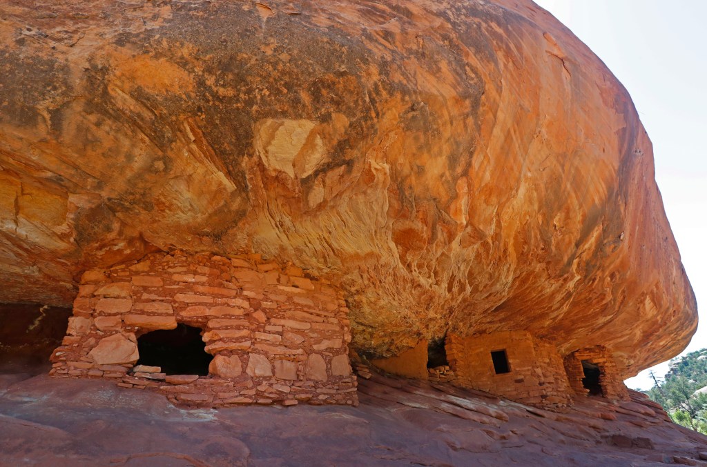 Why Utah's Bears Ears Should Top Your Adventure Bucket List