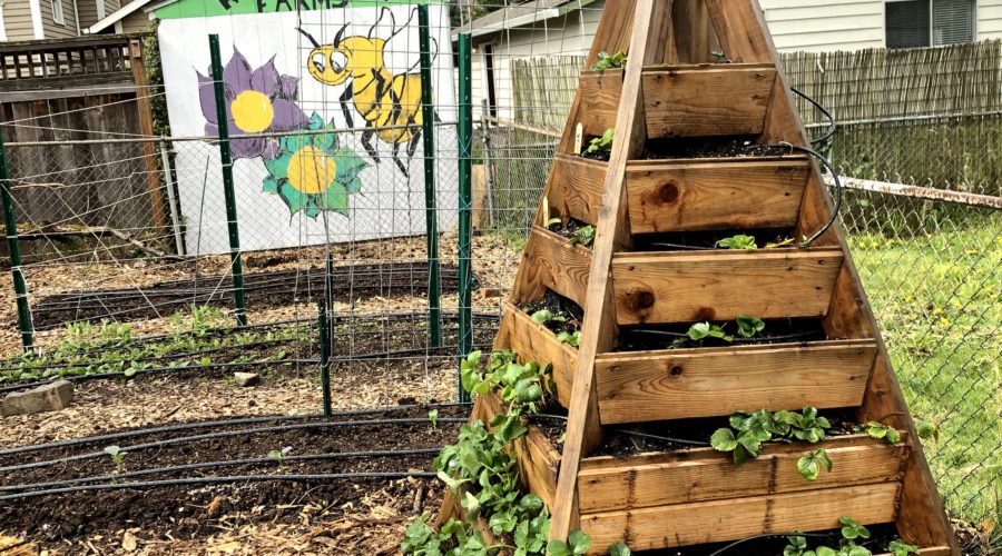 How to Build a Raised Bed—Even If You Have No Idea Where to Start - Sunset  Magazine