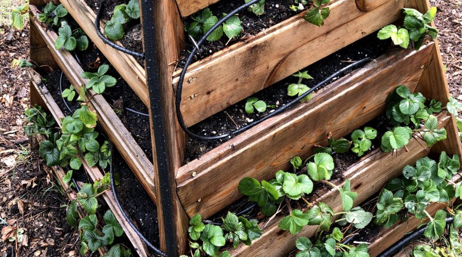 How to Build a Raised Bed—Even If You Have No Idea Where to Start - Sunset  Magazine