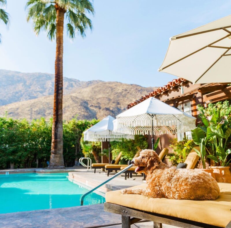 Talavera Palm Springs - Sunset Magazine