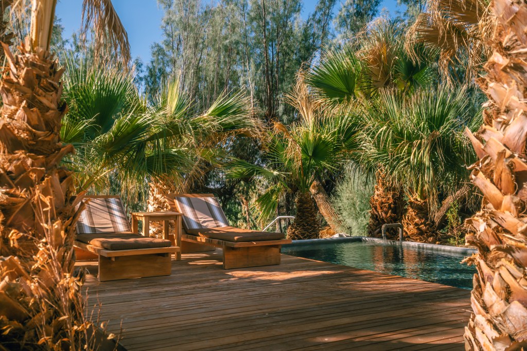 Insider Guide: Palm Springs, California