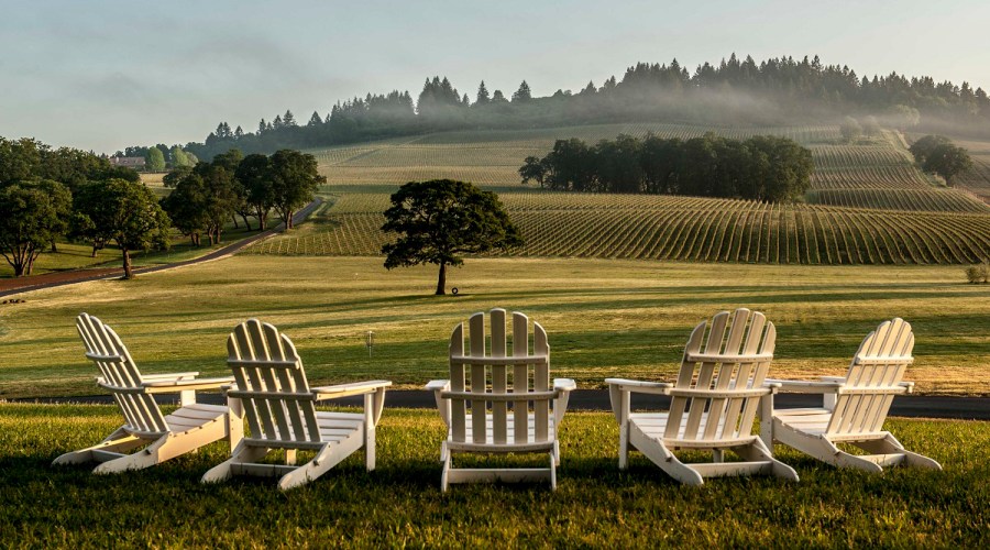 Insider Guide: Willamette Valley, Oregon