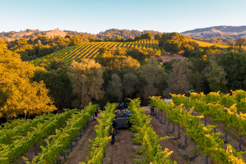 Jordan Vineyard & Winery - Sunset Magazine