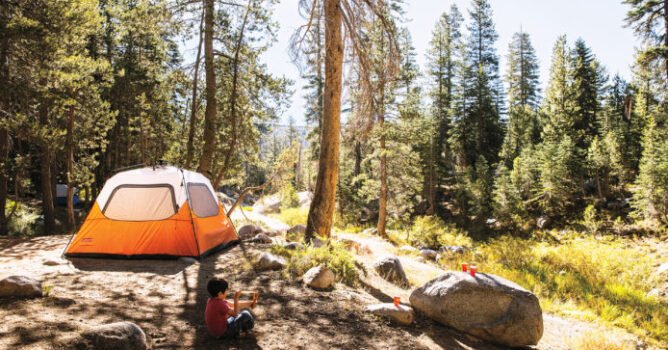 Ultimate Camping Guide