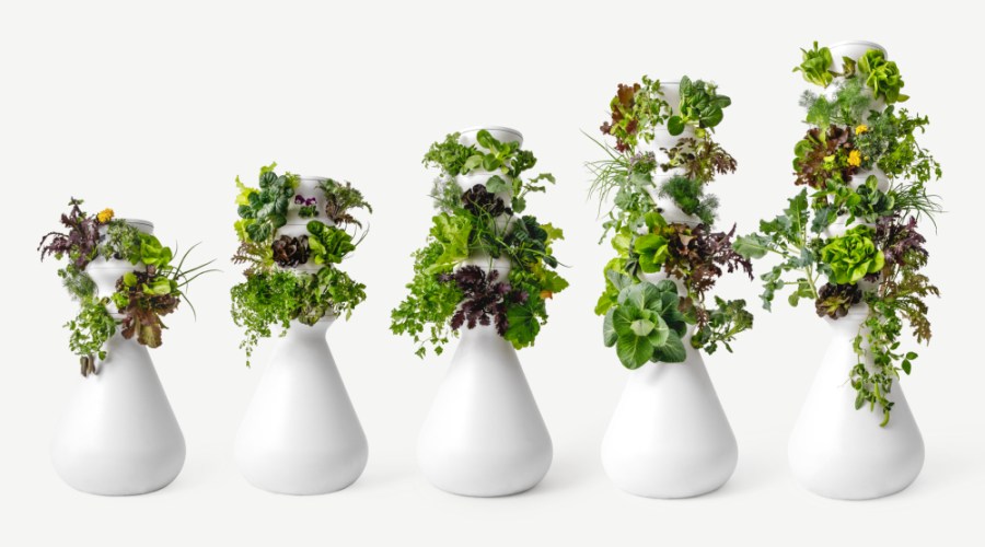 Hydroponic Garden Hacks: How to Grow Your Vegetables Like Zooey Deschanel