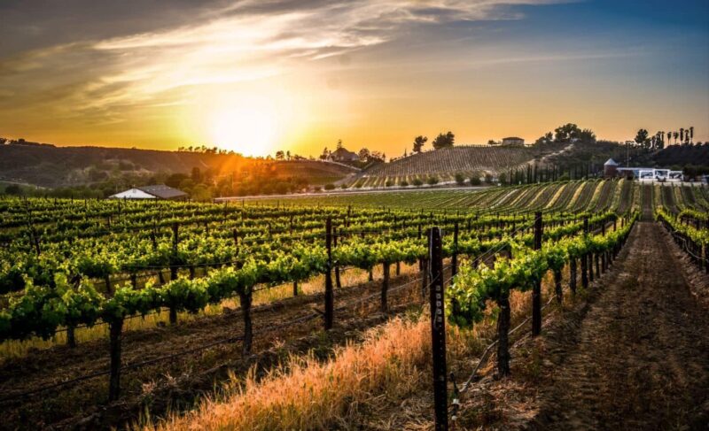 Destination Temecula Wine Tours and Experiences