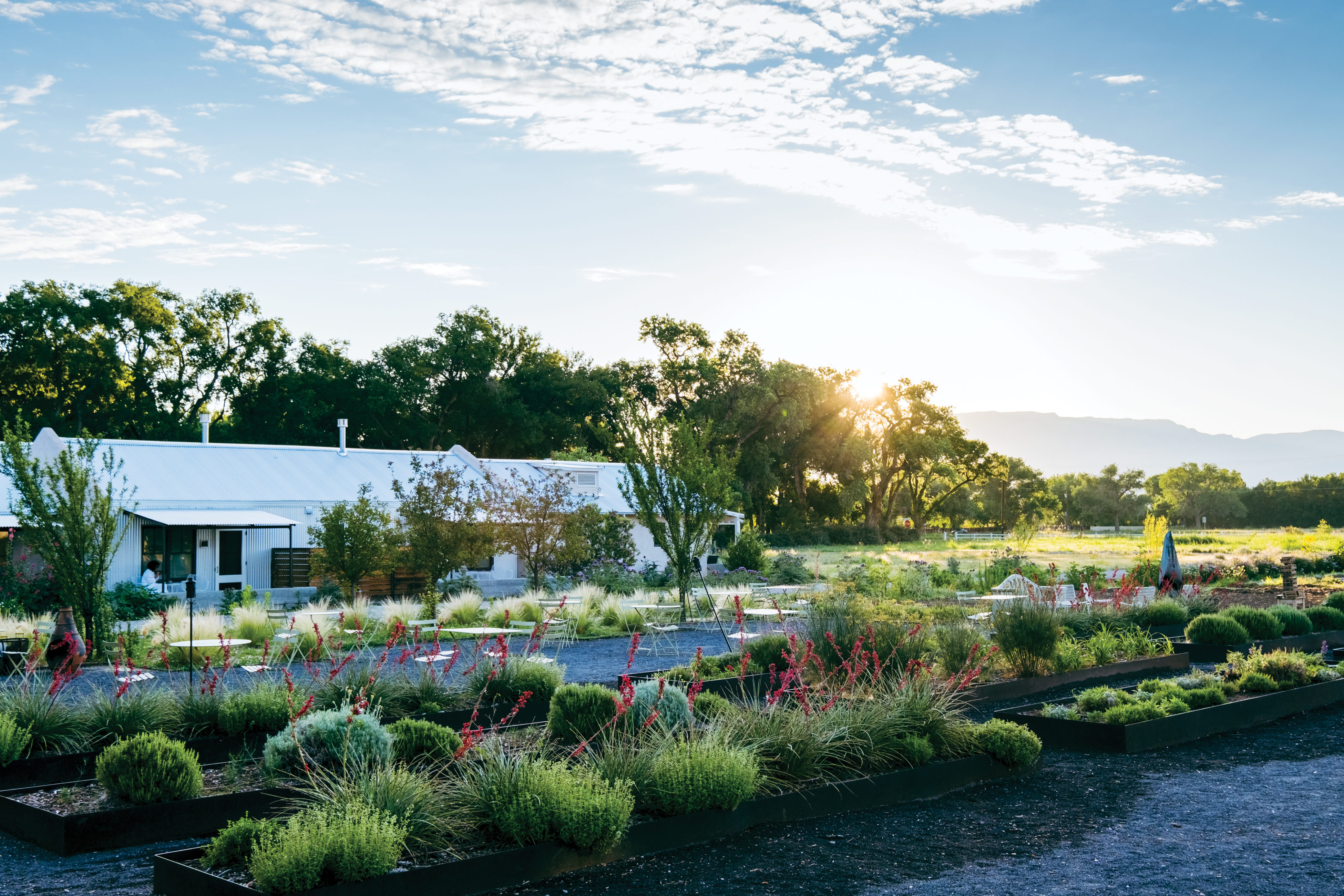 The Complete Guide to Raised Beds • Gardenary