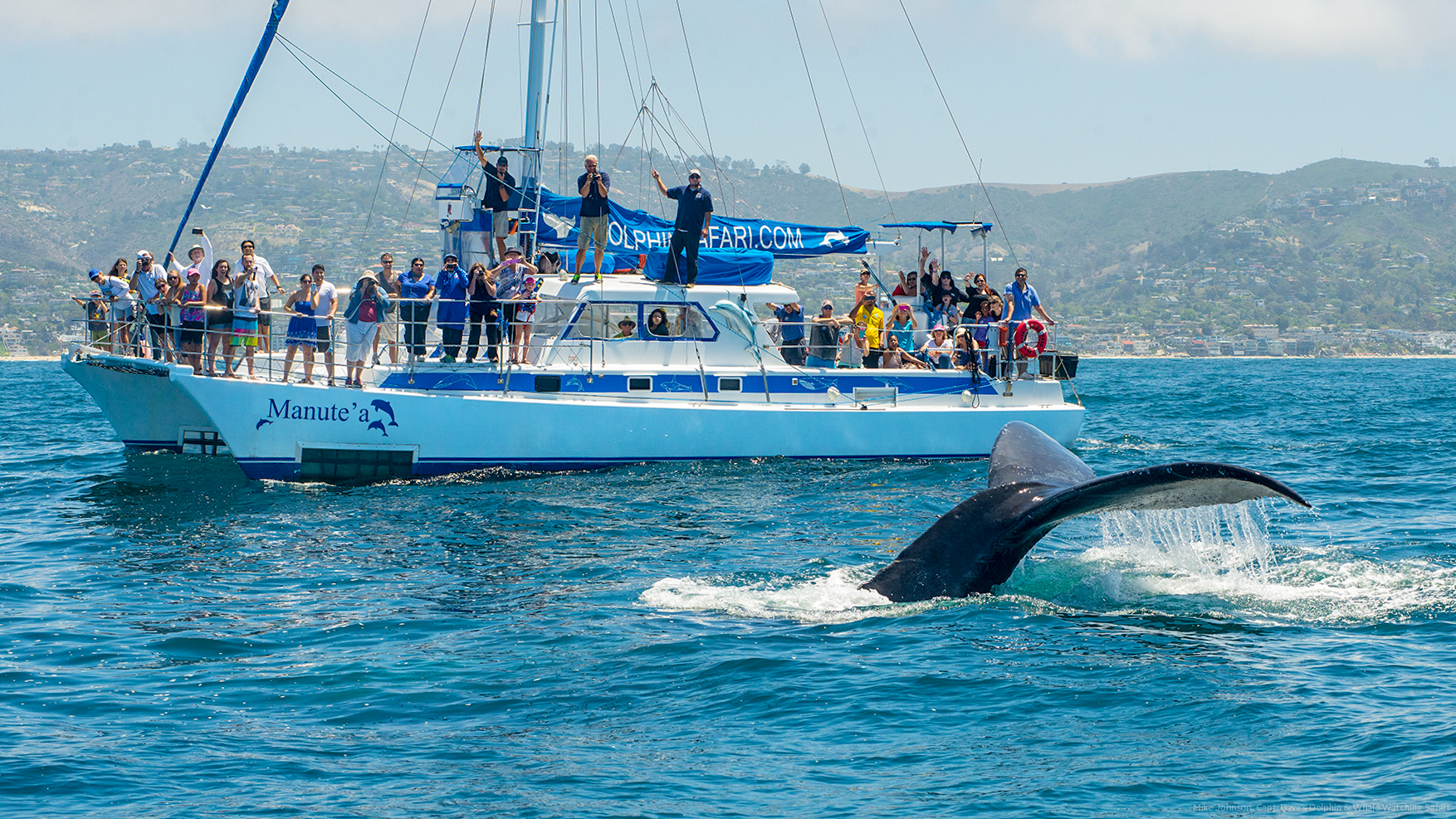 Manute'a and Humpback Whale Tail 04_copyright Dolphin Safari.jpeg