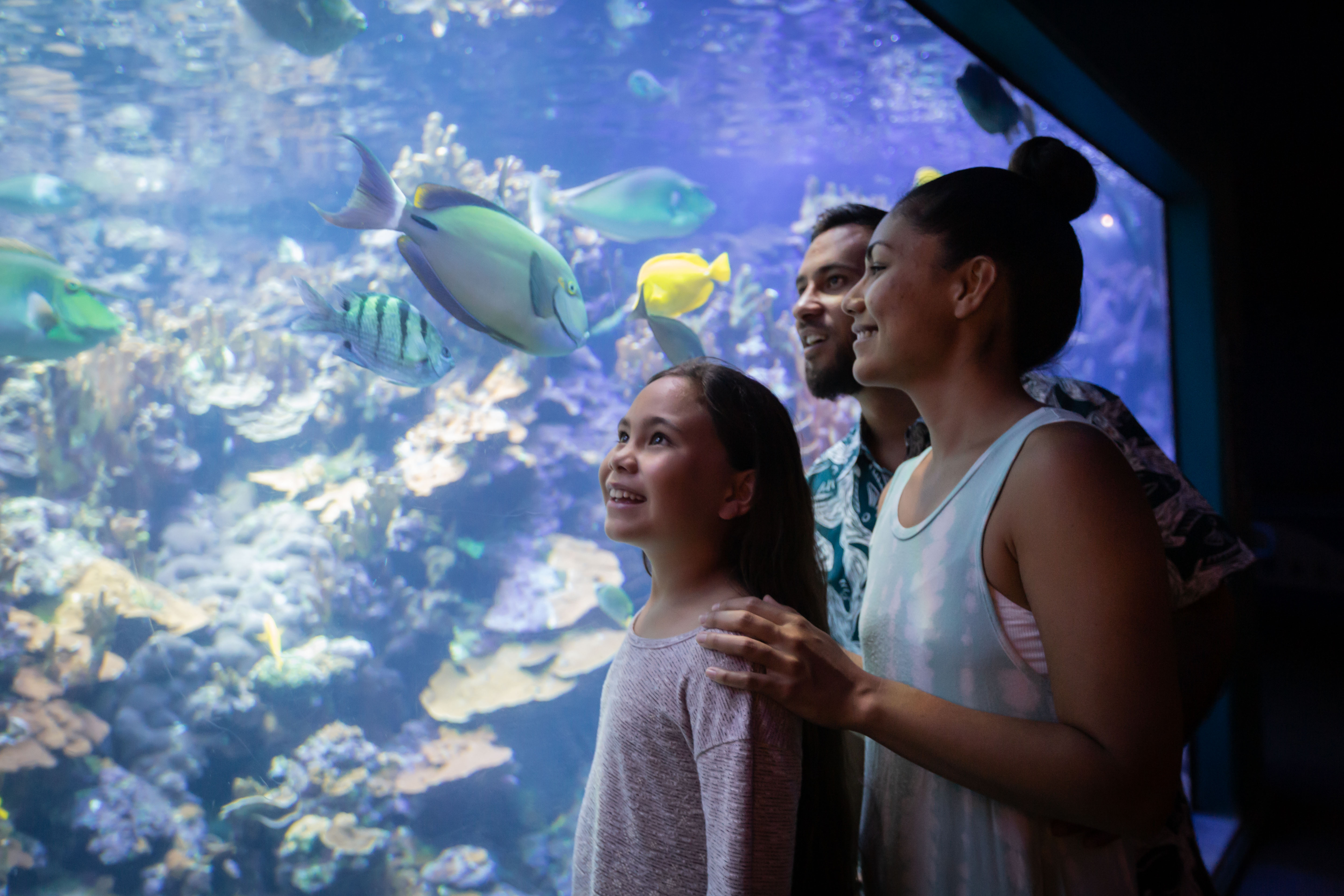 Maui Ocean Center-Ohana.jpg