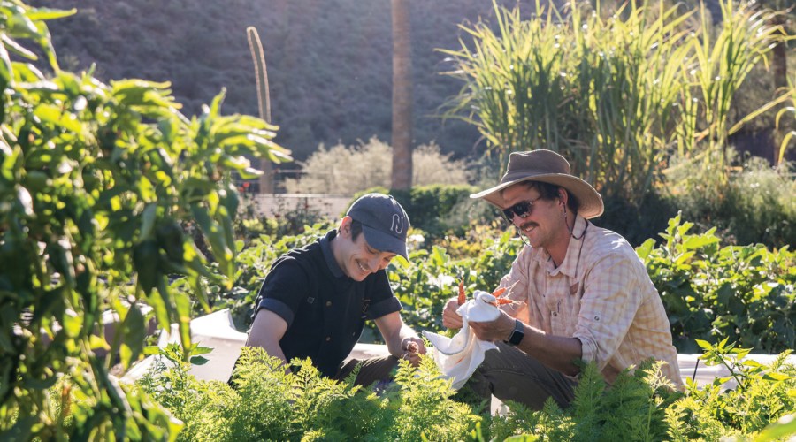 The New Spa Food: How to Make Garden-to-Table Dishes