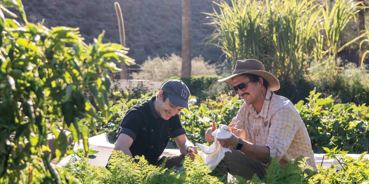 Castle Hot Springs kitchen garden