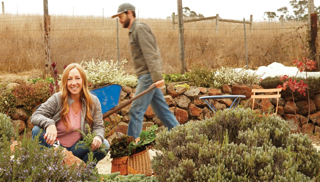 Cove to Table: Simple Seafood Recipes from Tomales Bay's Nick's Cove