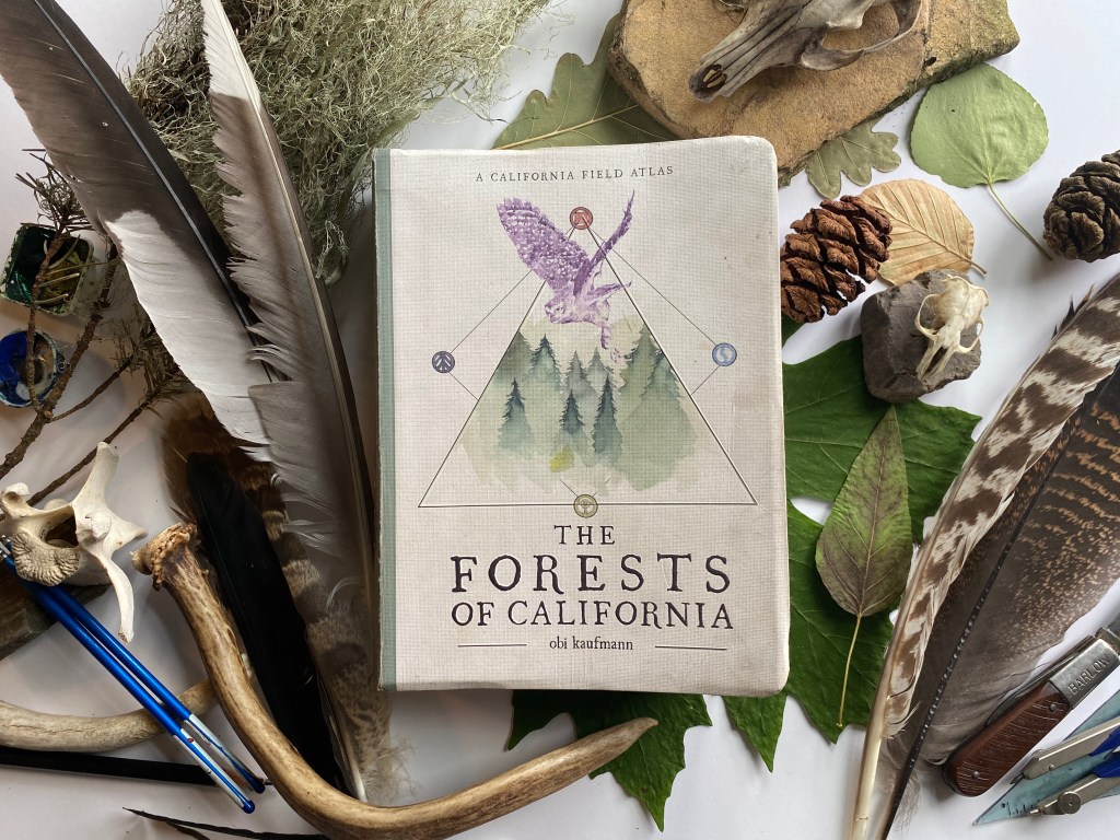 Our Favorite Wilderness Artist Has a New Book on the Forests of California