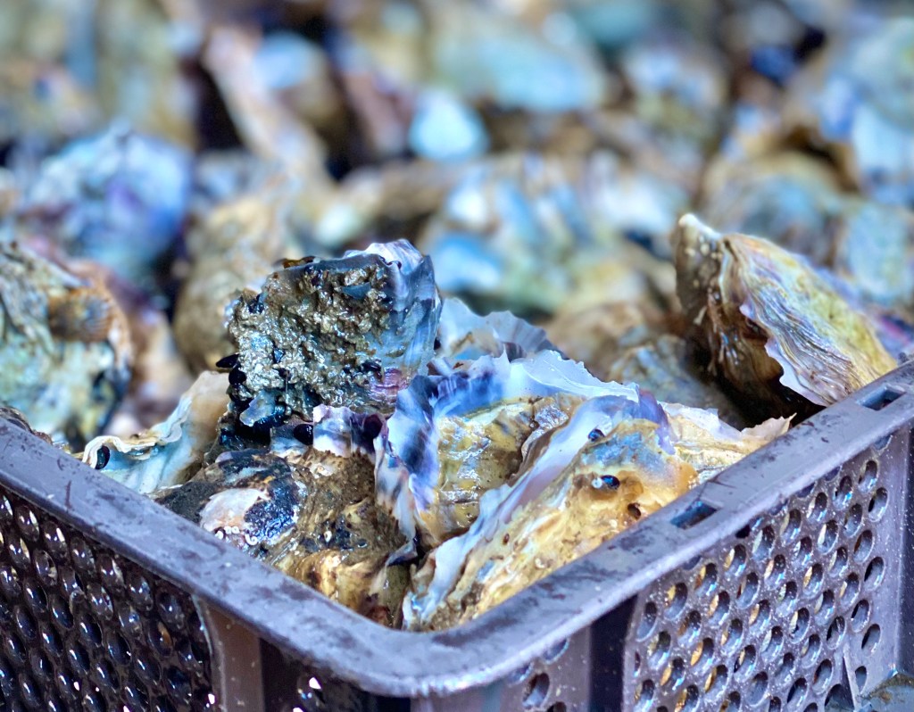 Carlsbad's Best Oyster Experience Is in the Most Unexpected Place