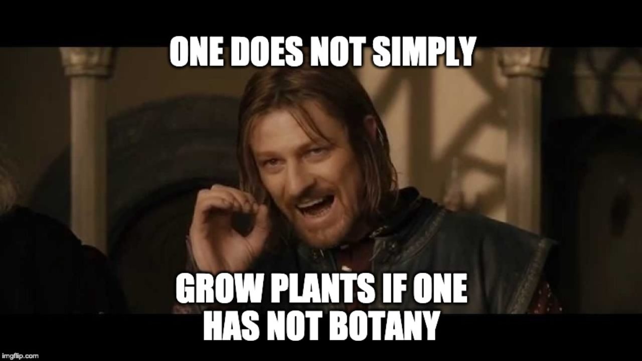 Plant Memes on Are Internet Comedy