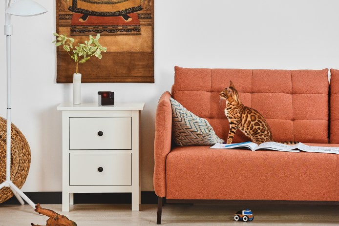 Petcube Play with Bengal Cat