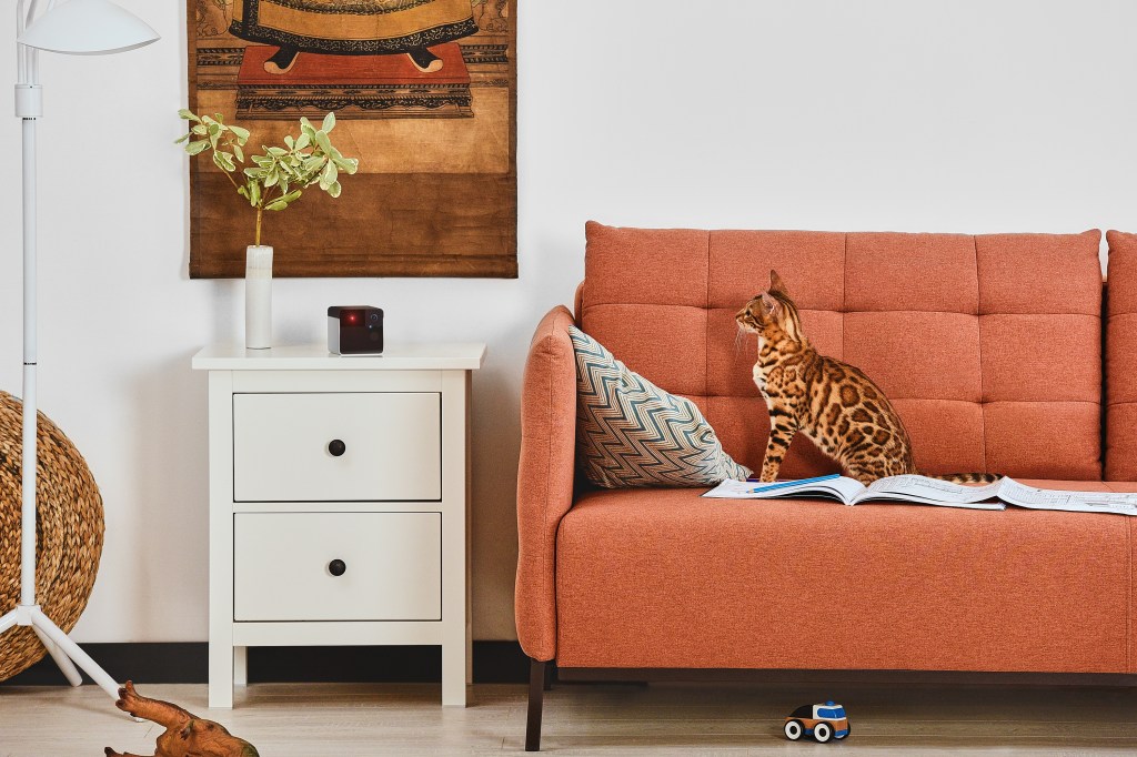 Gifts for the Tech Fan