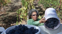Theodora Lee with Grape Bins