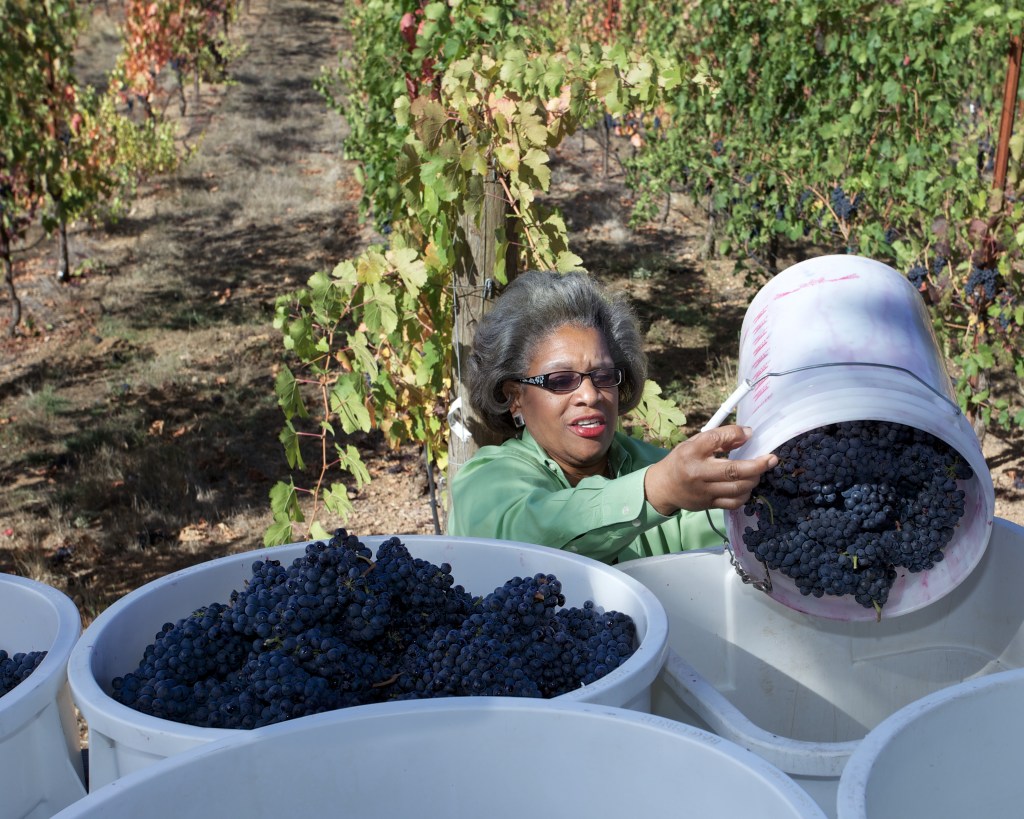 Black Winemakers Report Boom in Sales—Here's How to Keep It Going