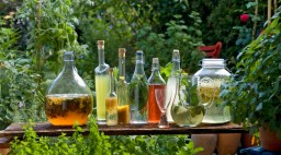 bottles and carafes with vinegar and oil