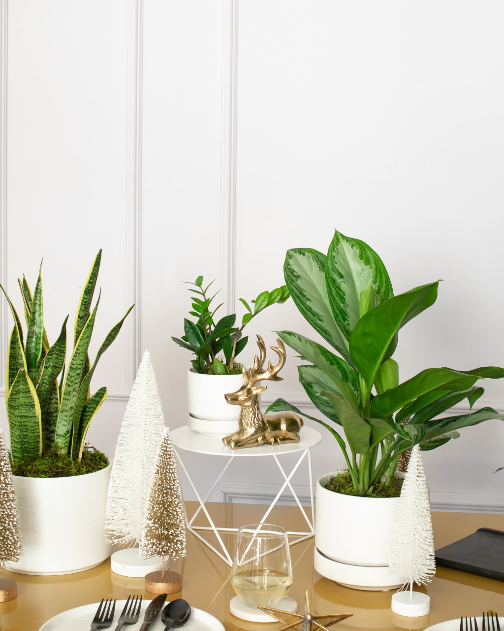 11 Perfect Houseplant Gifts That Will Help You Win the Holidays