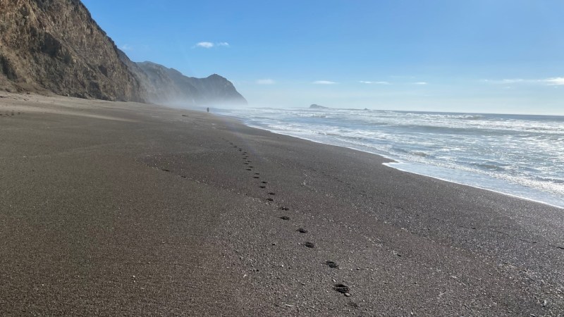 REI Point Reyes National Seashore Backpacking