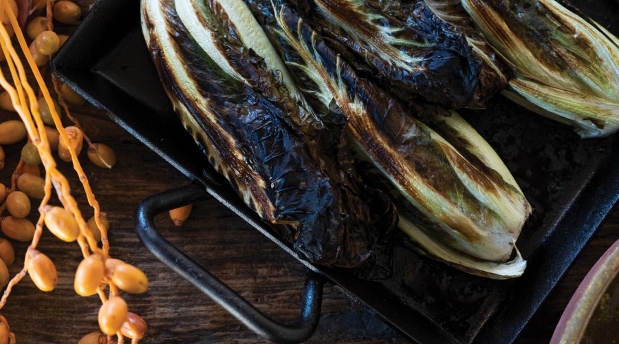 Grilled treviso radicchio aioli recipe